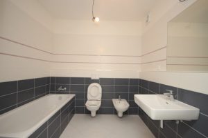 Pronájem bytu Praha 10 - Vinohrady, Francouzská