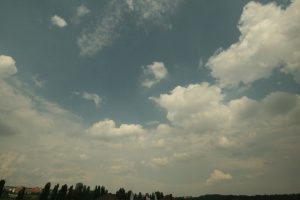 Indická komunita v Irsku