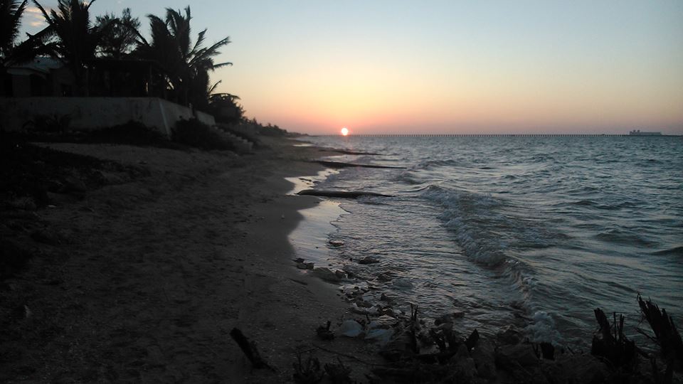 ALWI Group s.r.o. , Jesenice IČO 08340315