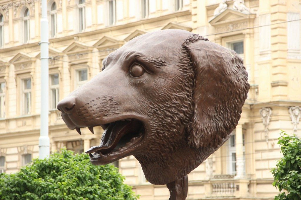 ADRIA - NEPTUN, spol. s r.o. , Praha IČO 40766519