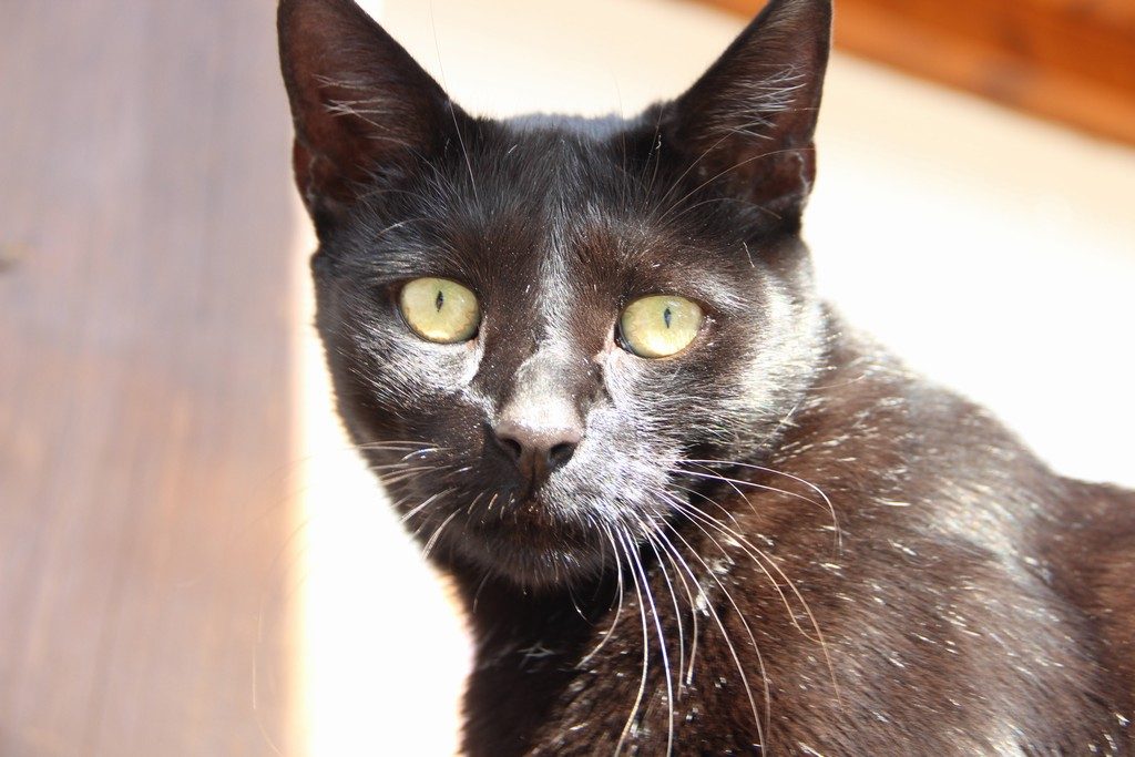 ABC & PR, s.r.o. , Praha IČO 25744232