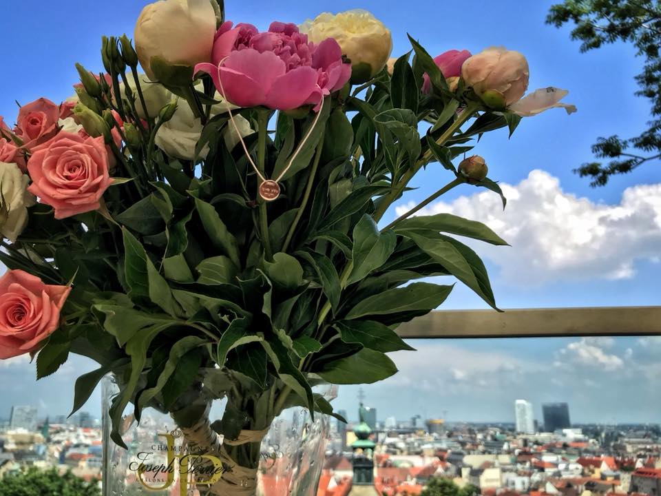 Arcano Holding s.r.o. , Praha IČO 08335711