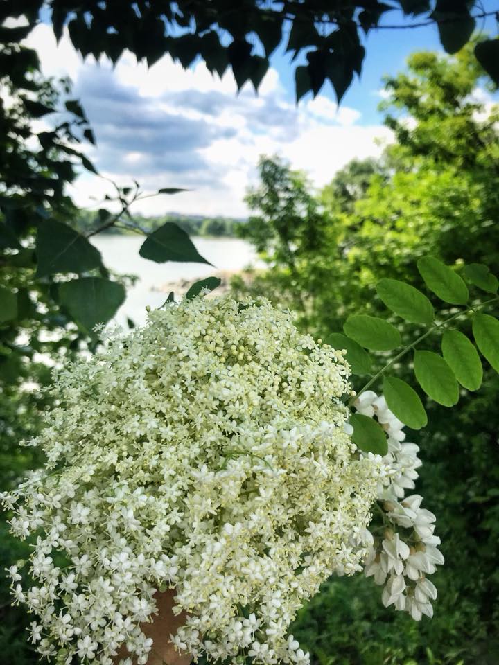 King Street Analytics s.r.o. IČO: 08406952