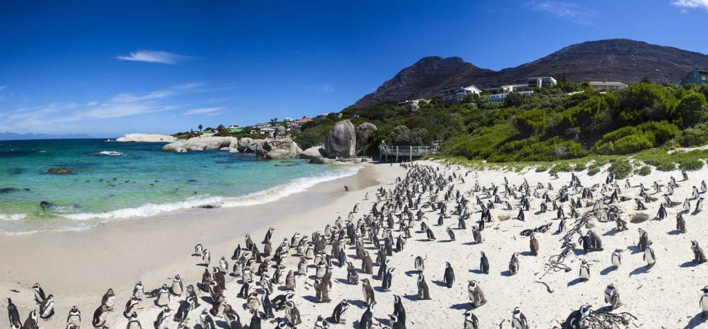 Destinace v Jihoafrické republice