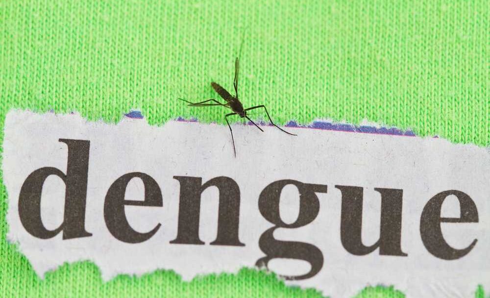 horečka dengue
