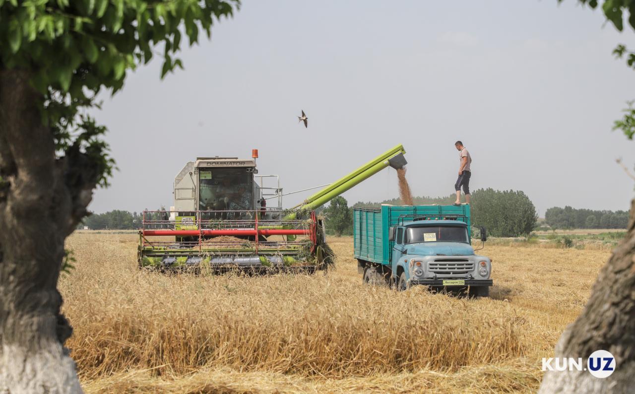 Uzbekistán bude od 1. června prodávat a nakupovat obilí za tržní ceny